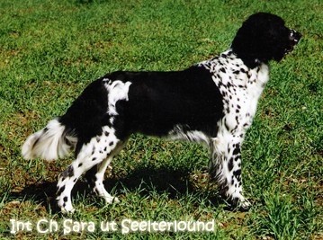 Praprababička 1 + 6